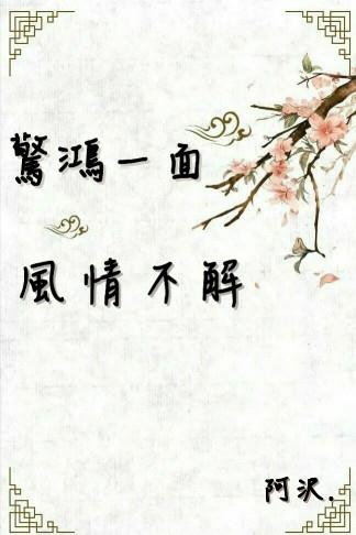 惊鸿一面，风情不解