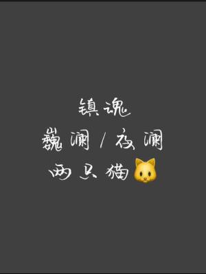 镇魂两只猫