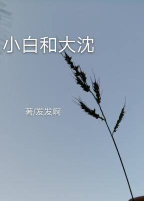 小白和大沈