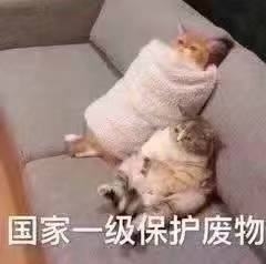 头牌舔狗