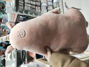 在沉默中死去的大多数